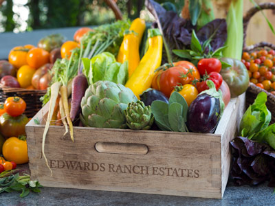 A table with a crate of colorful vegetables from a farm.