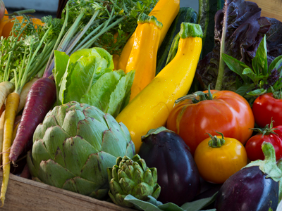 A crate of lettuce, tomatoes, squash, carrots, eggplants, basil, cucumbers, and artichokes.