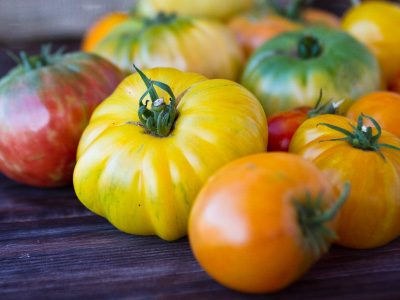 Yellow, orange, red, and green tomatoes on a wooden table.