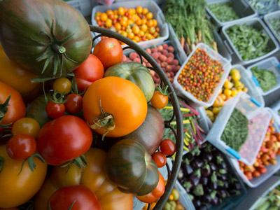 Boxes of red, orange, and green tomatoes, peaches, carrots, eggplants, and herbs.