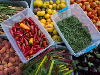 Boxes of red peppers, rosemary, eggplants, peaches, red tomatoes, yellow tomatoes, carrots, and swiss chard.