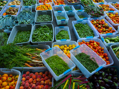 Boxes of red peppers, rosemary, eggplants, peaches, tomatoes, carrots, basil, corn, cucumbers, gourds, and swiss chard.