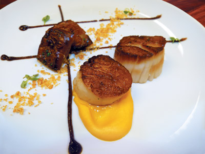 A white plate with scallops, onions, and an orange and brown sauce.